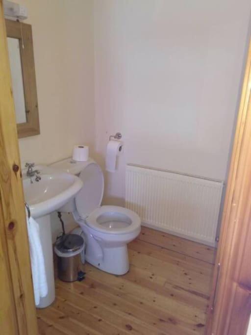 Townhouse 2 Barrow Lane Villa Carlow Kültér fotó