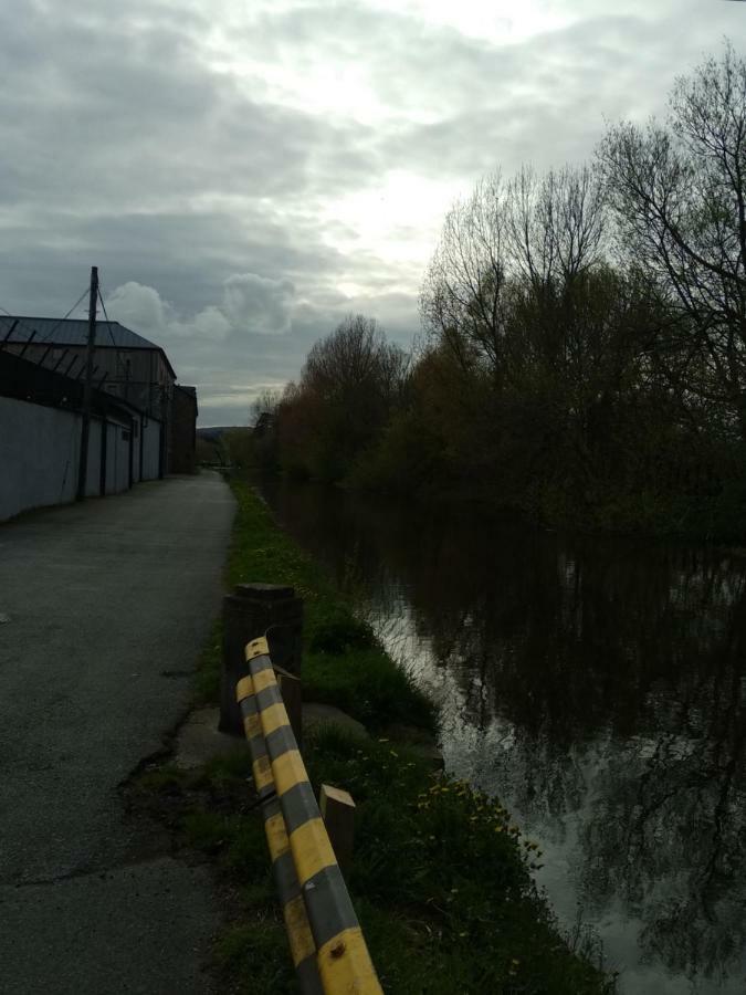Townhouse 2 Barrow Lane Villa Carlow Kültér fotó